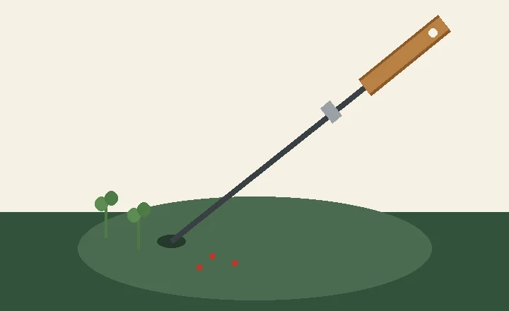A wooden-handled garden dibber with a depth ring planted in soil beside young seedlings